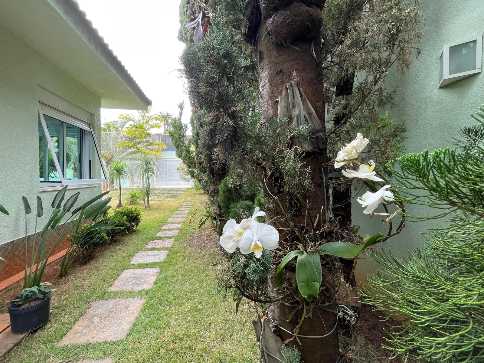 Propriedade para venda - Belvedere - 900m2 - paisagismo e gramado- 5 quartos - 3 suítes - segura - ponto nobre, foto 27