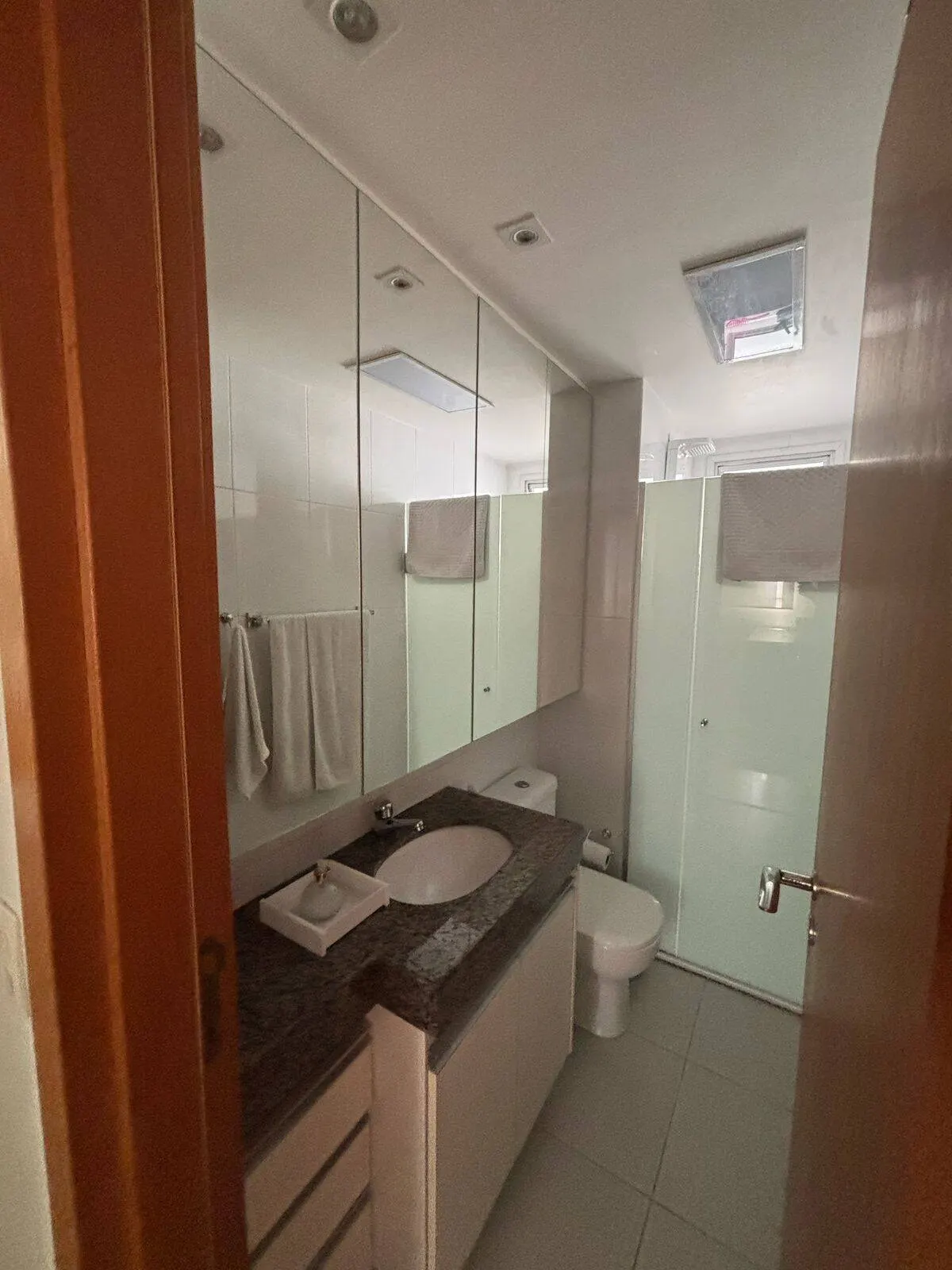 Apartamento 3 Quartos com Suíte, Varanda e 2 Vagas Santa Efigênia., foto 16